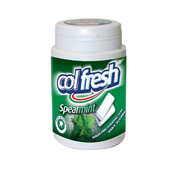 Chewing-gum menthe 63g