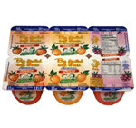 PETIT SUISSE FRUITS GRAND MODELE 6x100.0 g